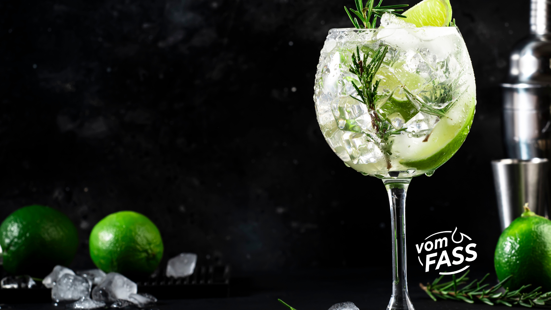 Gin & Gin-Tonic Tasting in Bonn